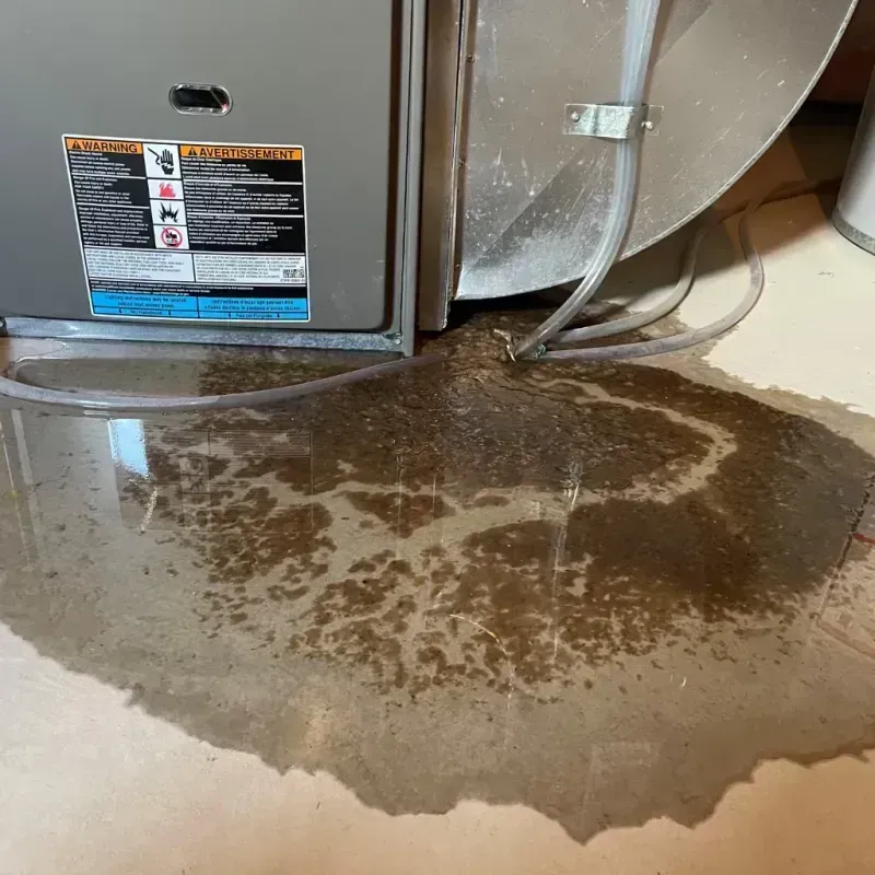 Appliance Leak Cleanup in Wellsville, OH